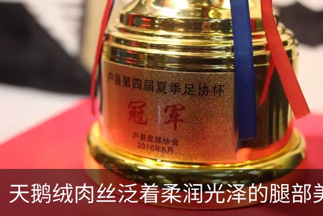 天鹅绒肉丝泛着柔润光泽的腿部美肌